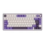 Teclado Royal Kludge RK R75 mecanico BLACKBERRY -SILVER - Imagen 7