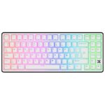 Teclado Royal Kludge RK X87 Cableado BLACK NIGHT - CREAMY SWITCH